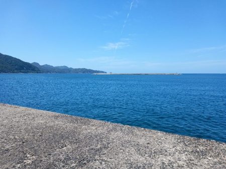 釣れるのは、アカビラばかり