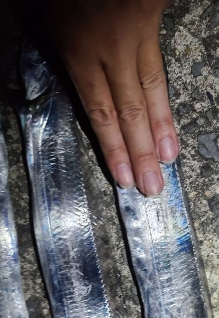 ゆうマヅメは無かったような？