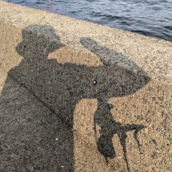 とうとう終盤…。