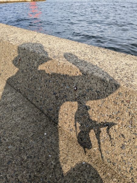 とうとう終盤…。