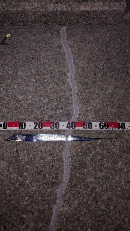 なんとかシーズン初