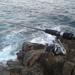 いつもの磯が渋い