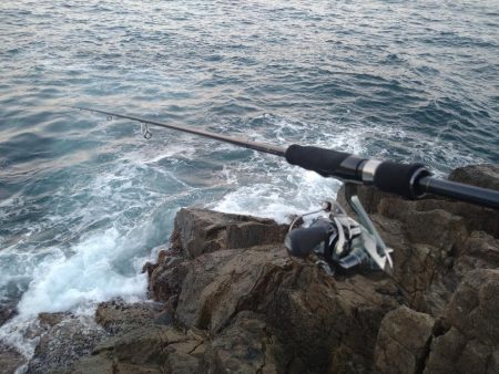 いつもの磯が渋い