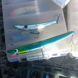 そろそろ終了？