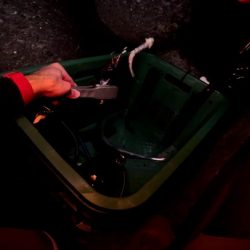 台風後渋い太刀魚