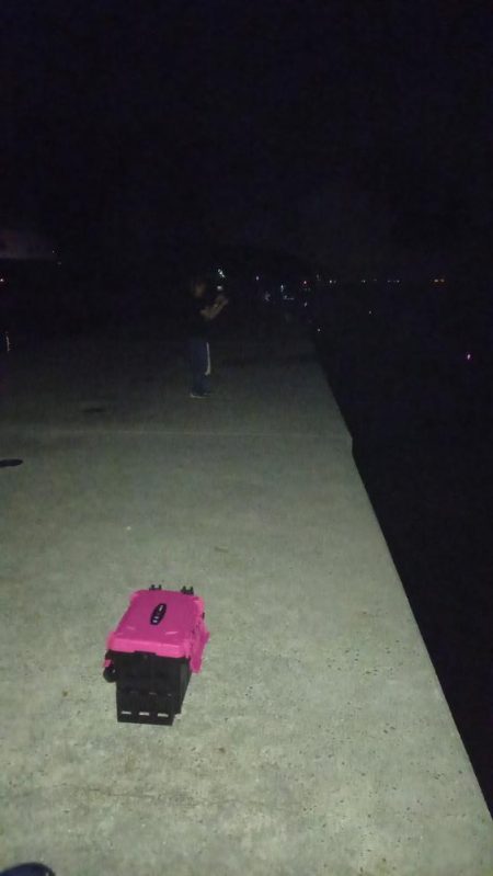 真夜中の時合いでタチウオ高活性