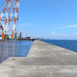 播磨新島釣行30