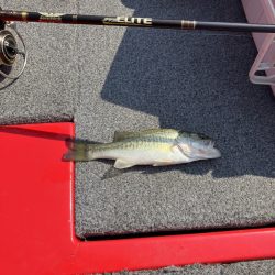 迷走台風後南湖