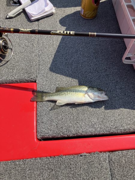 迷走台風後南湖