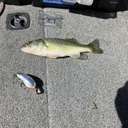 3連休最終日 秋バス