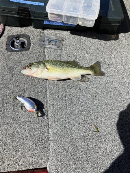 3連休最終日 秋バス