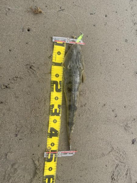 浮遊ゴミ多し。でも‼️