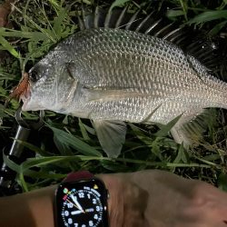 アーバンチニング⑥