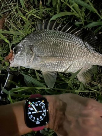 アーバンチニング⑥