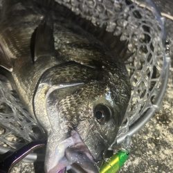 ラパラを封印して