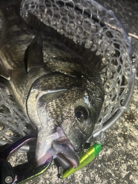 ラパラを封印して