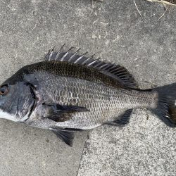 イチノ兄弟、釣果!