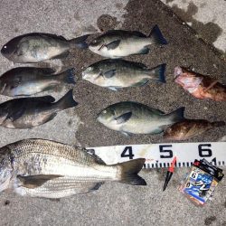 9ヶ月ぶりのご対面!