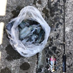 エギング 佐渡遠征②2日目