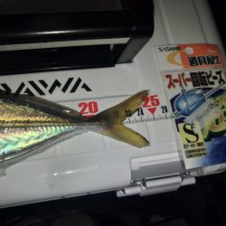 フロートゲーム~