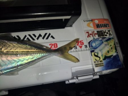 フロートゲーム~