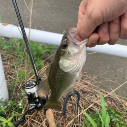 晴れてるので、バス釣り行った‼️