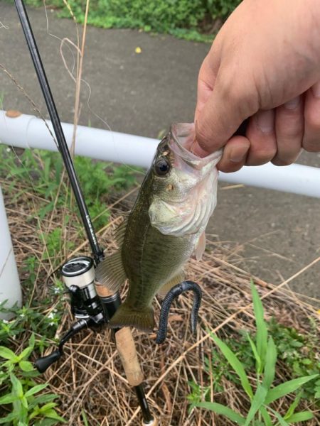 晴れてるので、バス釣り行った‼️