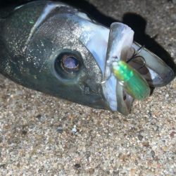 サスケ真裂波はいいぞ!