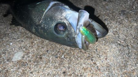 サスケ真裂波はいいぞ!