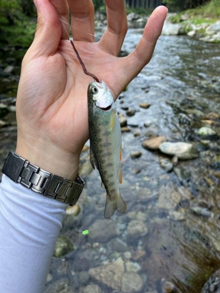 仕事終わりに滑り込み