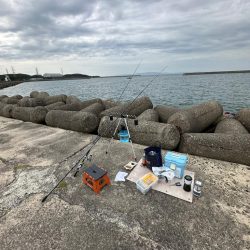 太刀魚釣り、五目釣り