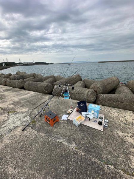 太刀魚釣り、五目釣り