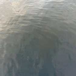 ⭐️変わらず高活性