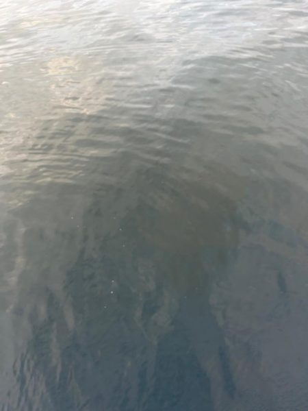 ⭐️変わらず高活性