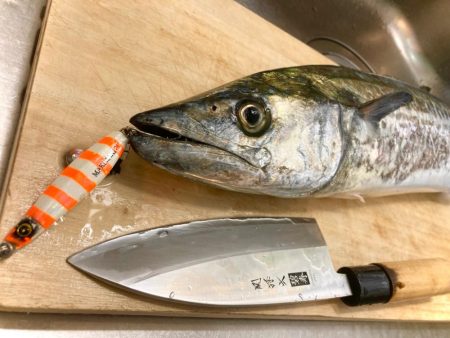 キシイチSPオレンジ強いにゃ！