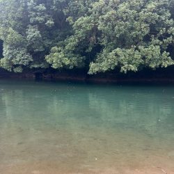 とっくに秋色🍂