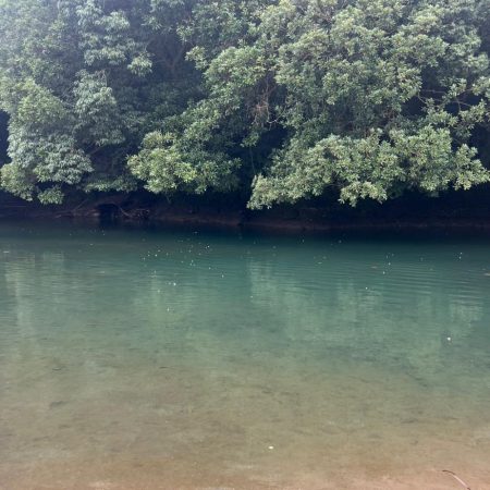 とっくに秋色🍂