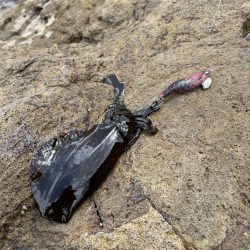 本格的にシーズンイン