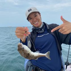 淡路室津のカットウフグ