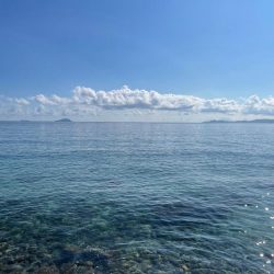 3日連続獄暑調査!