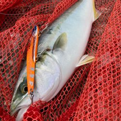 ミラクルツバス