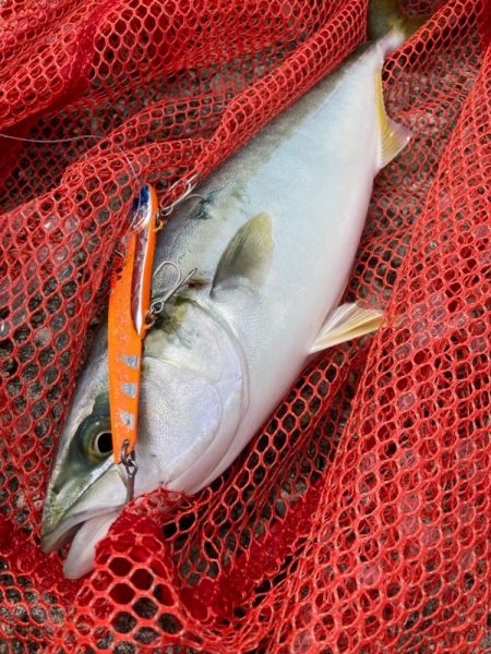 ミラクルツバス