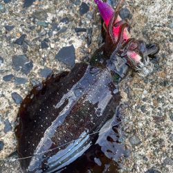 秋の恵みに感謝！