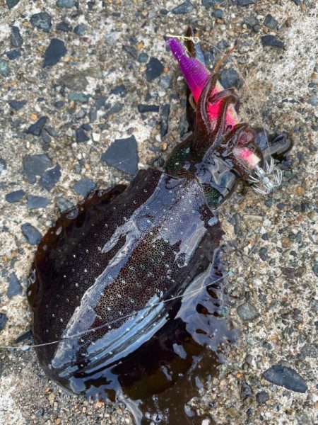 秋の恵みに感謝！