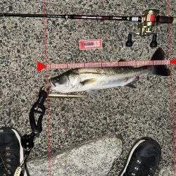 激戦区旧江戸川河口に挑んだっ!