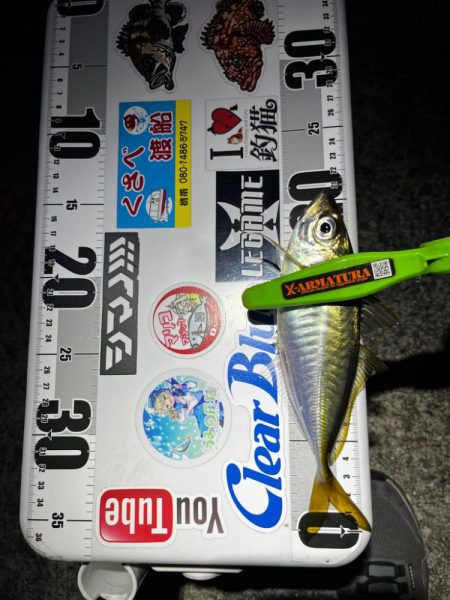 8月ラストアジング