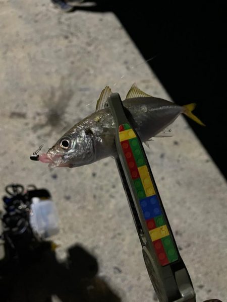 台風明け爆風アジング