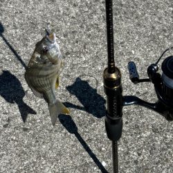 キビレがすごい