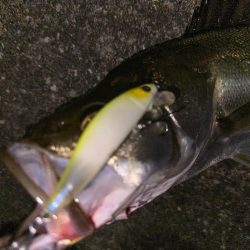 落パクってほんとにあるんだね!