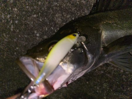 落パクってほんとにあるんだね!